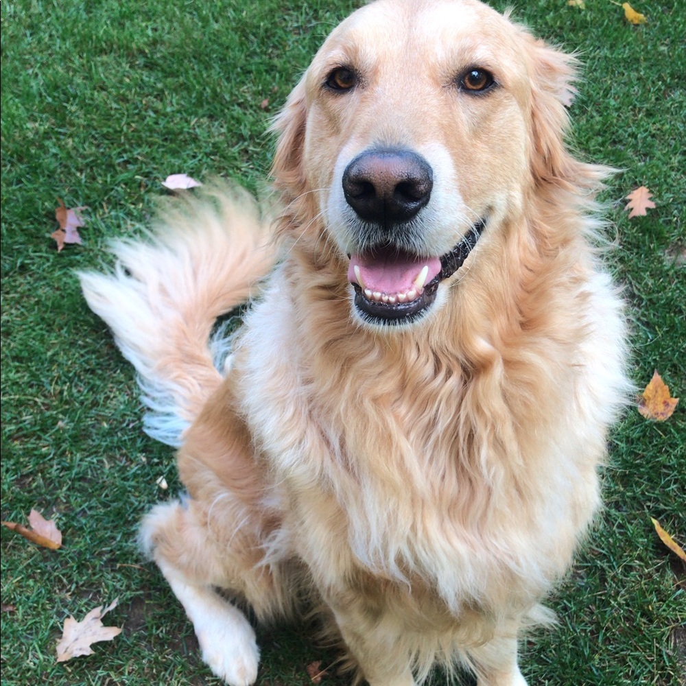 Meet your Posher, Olivia